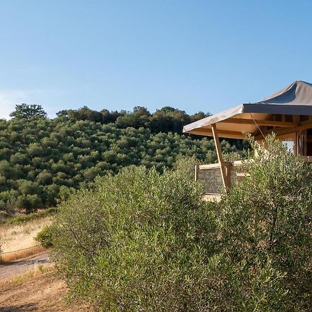 מאסה מריטימה Glamping Podere San Jacopo מראה חיצוני תמונה